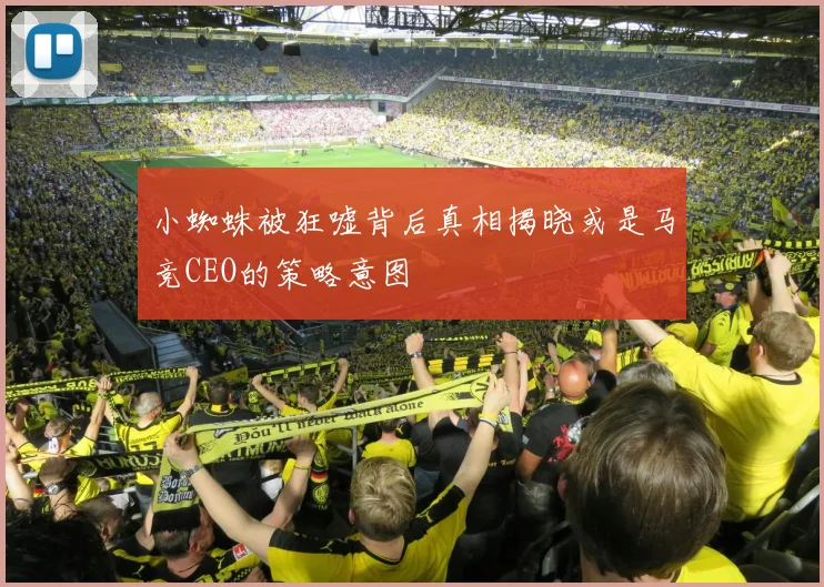 小蜘蛛被狂嘘背后真相揭晓或是马竞CEO的策略意图