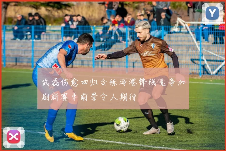 武磊伤愈回归合练海港锋线竞争加剧新赛季前景令人期待