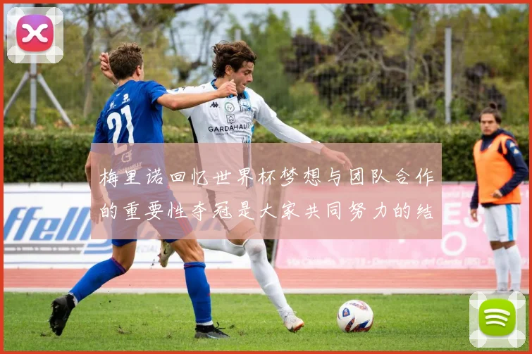 梅里诺回忆世界杯梦想与团队合作的重要性夺冠是大家共同努力的结果